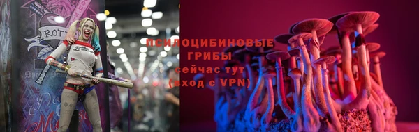 твердый Алексин